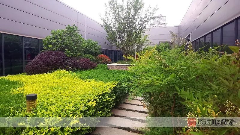 屋頂花園設(shè)計